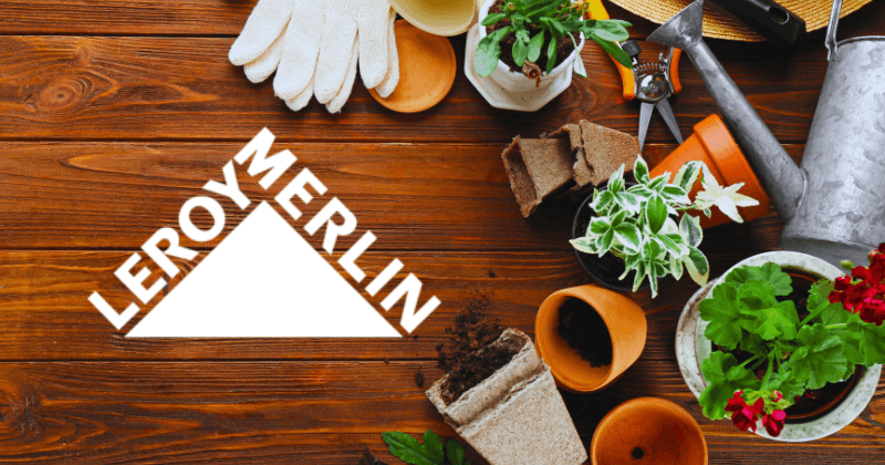 Case Study: Leroy Merlin Brazil