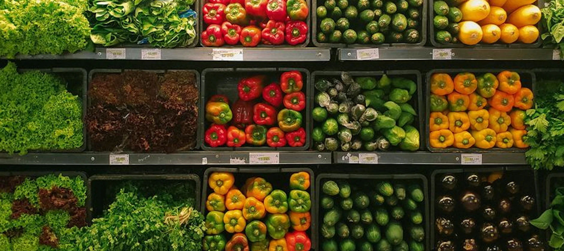 À la rencontre des marketplaces qui bouleversent le secteur de la vente en gros de produits alimentaires et boissons