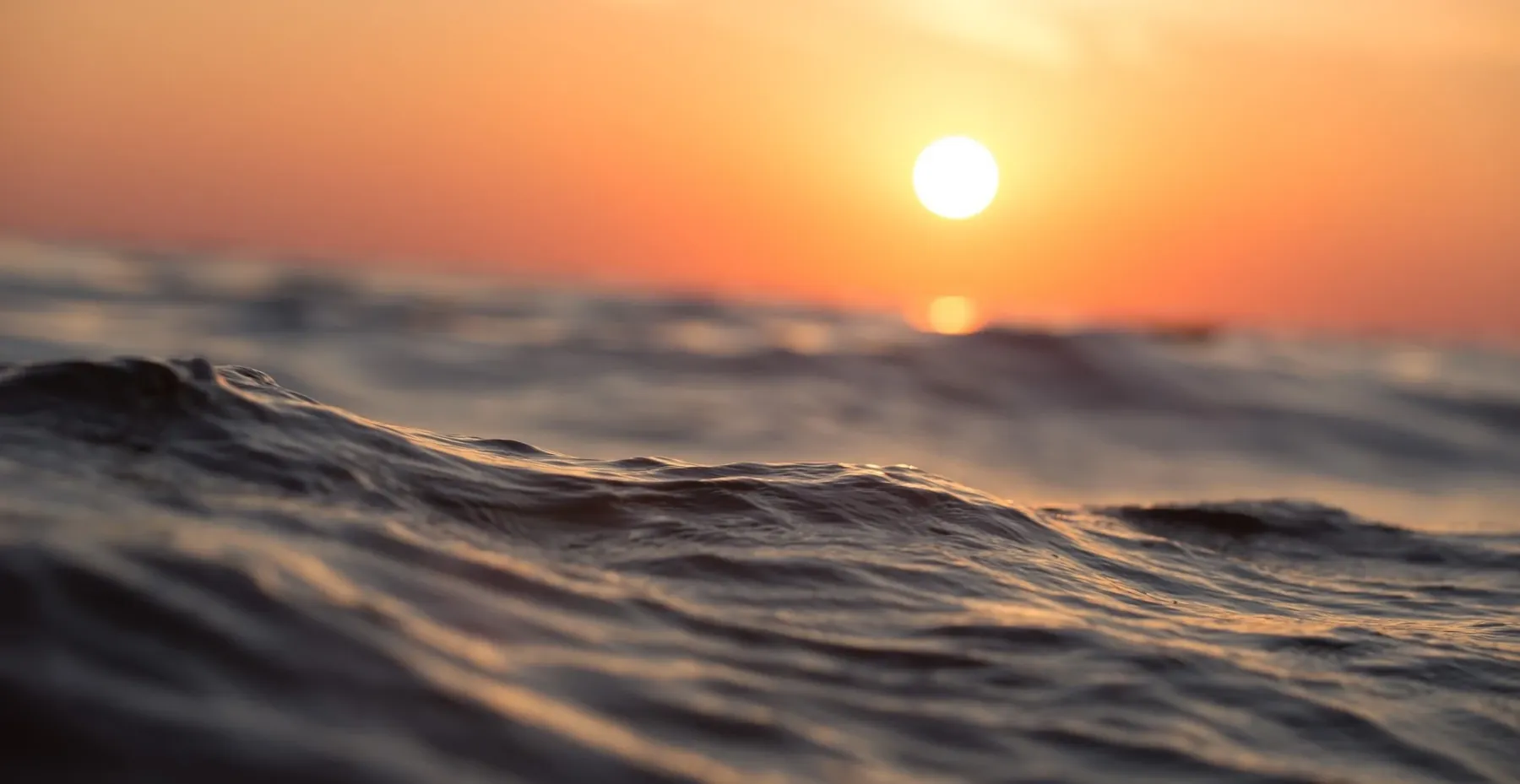 B2B Marketplaces Are Gaining Momentum. Are You Ready to Ride the Wave?