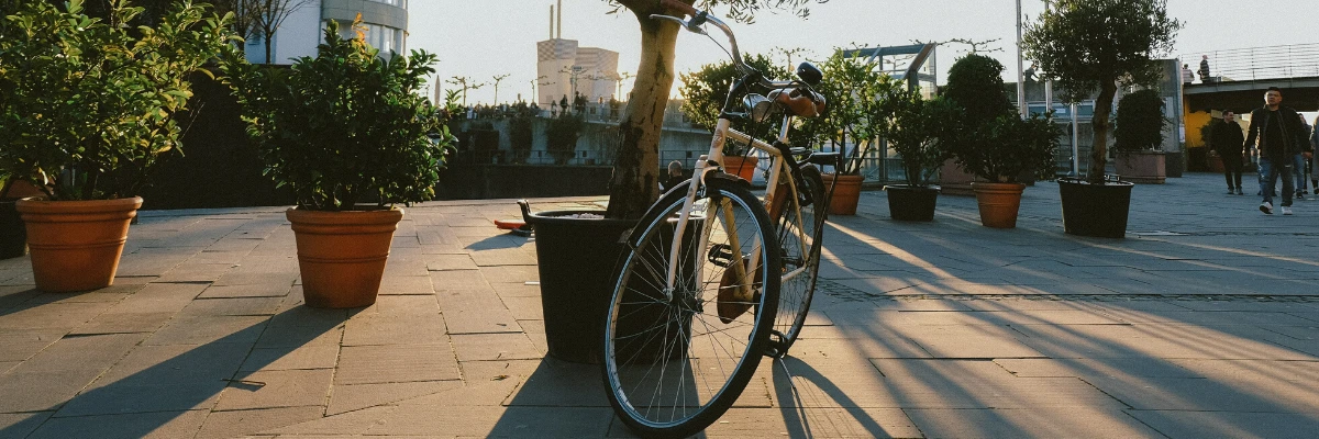 Les clés du succès de la marketplace Alltricks, l'Amazon du Vélo