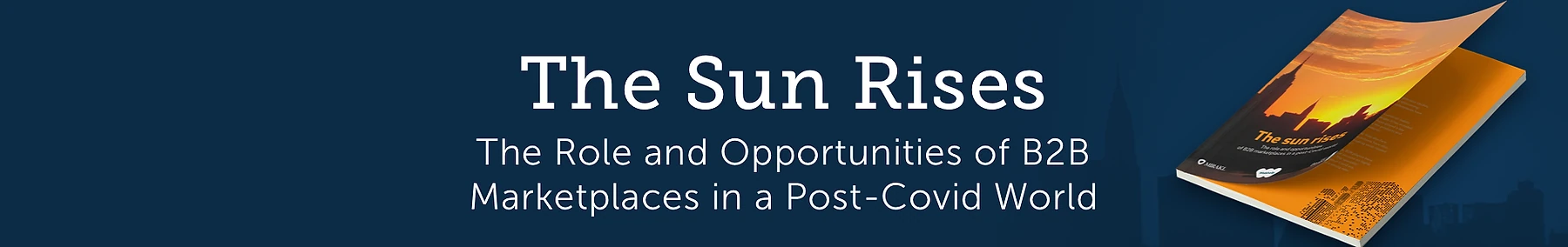 Promotional banner for the Roland Berger report 'The Sun Rises: The Role and Opportunities of B2B Marketplaces in a Post-Covid World', with a thumbnail of the report cover on the right